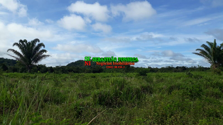Imagem Fazenda à Venda, 1.700 m² em área Rural De Redenção - Redenção