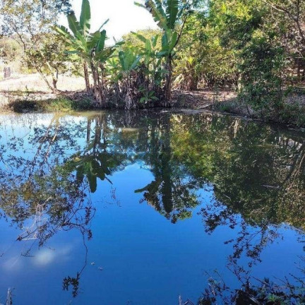 Imagem Imóvel com 5 Quartos à Venda, 6.000 m² em Bonanza - Santa Luzia