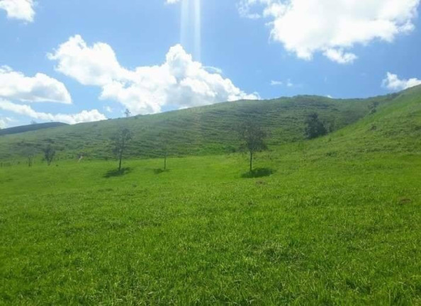 Imagem Chácara à Venda, 25.000 m² em Monte Belo - Taubaté Imagem Chácara à Venda, 25.000 m² em Monte Belo - Taubaté