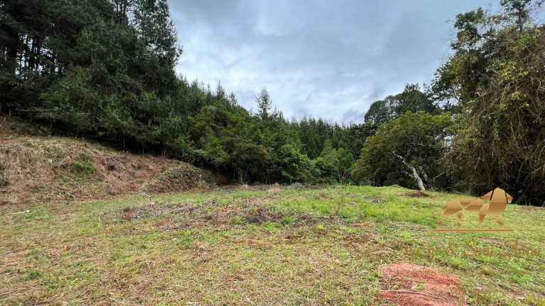 Imagem Terreno à Venda, 6.500 m² em Alto Da Vila Inglesa - Campos Do Jordão Imagem Terreno à Venda, 6.500 m² em Alto Da Vila Inglesa - Campos Do Jordão