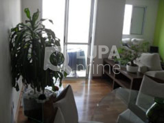 Imagem Apartamento com 3 Quartos à Venda, 63 m² em Vila Guilherme - São Paulo Imagem Apartamento com 3 Quartos à Venda, 63 m² em Vila Guilherme - São Paulo