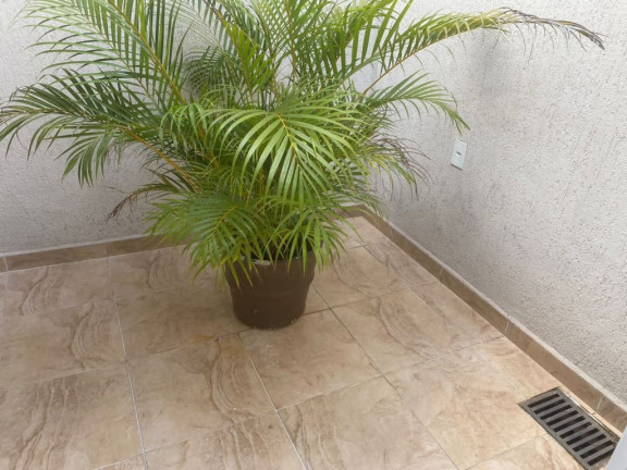 Imagem Casa com 3 Quartos à Venda, 324 m² em Vila Scarpelli - Santo André Imagem Casa com 3 Quartos à Venda, 324 m² em Vila Scarpelli - Santo André