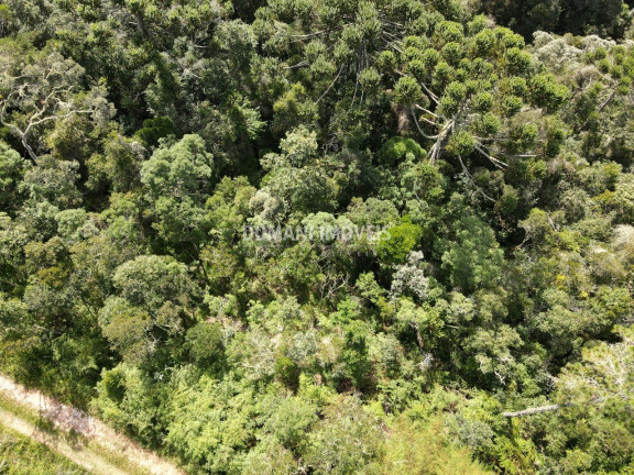 Imagem Terreno à Venda, 5.100 m² em Região Do Atalaia - Campos Do Jordão Imagem Terreno à Venda, 5.100 m² em Região Do Atalaia - Campos Do Jordão
