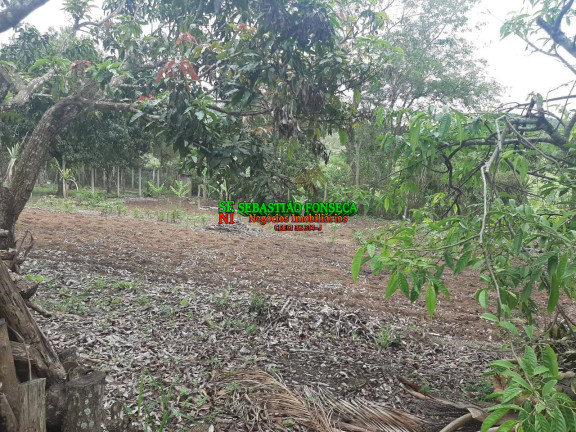 Imagem Chácara com 3 Quartos à Venda, 2.300 m² em Sob. Consulta - Paraibuna Imagem Chácara com 3 Quartos à Venda, 2.300 m² em Sob. Consulta - Paraibuna
