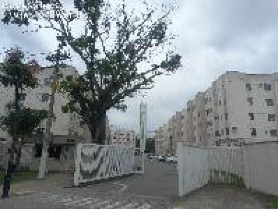 Imagem Apartamento com 2 Quartos à Venda, 41 m² em Santa Cruz - Rio De Janeiro Imagem Apartamento com 2 Quartos à Venda, 41 m² em Santa Cruz - Rio De Janeiro