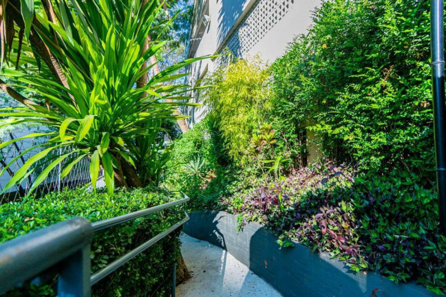 Imagem Apartamento com 3 Quartos à Venda, 61 m² em Vila Andrade - São Paulo