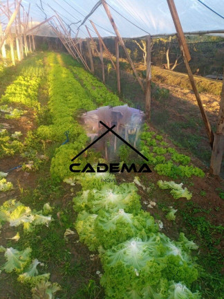 Imagem Chácara com 5 Quartos à Venda, 25.000 m² em Zona Rural - Jacutinga Imagem Chácara com 5 Quartos à Venda, 25.000 m² em Zona Rural - Jacutinga