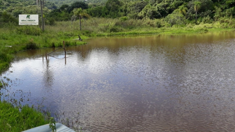 Imagem Chácara com 2 Quartos à Venda, 2.500 m² em Sorocamirim - São Roque