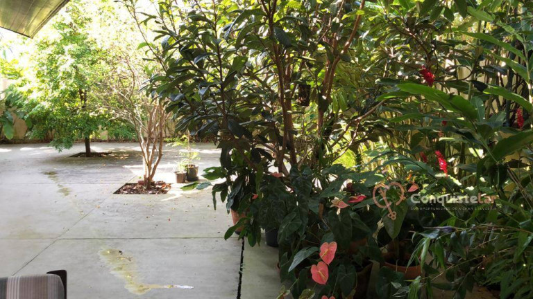 Imagem Casa com 3 Quartos à Venda, 300 m² em Jurerê Internacional - Florianópolis Imagem Casa com 3 Quartos à Venda, 300 m² em Jurerê Internacional - Florianópolis