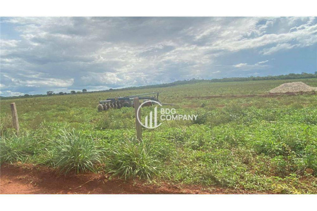 Fazenda à Venda, 10.700.000 m² em Zona Rural - Campinápolis