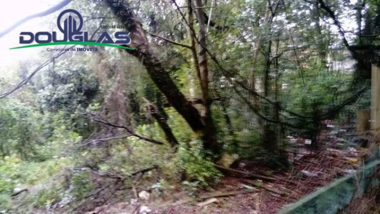 Imagem Terreno à Venda, 1.960 m² em Viamão Imagem Terreno à Venda, 1.960 m² em Viamão