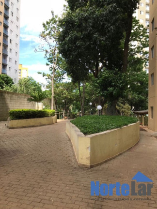 Imagem Apartamento com 2 Quartos à Venda, 49 m² em Jardim Centenário - São Paulo