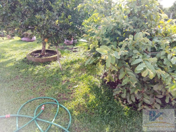 Imagem Casa com 2 Quartos à Venda, 65 m² em Campo Largo Da Roseira - São José Dos Pinhais Imagem Casa com 2 Quartos à Venda, 65 m² em Campo Largo Da Roseira - São José Dos Pinhais