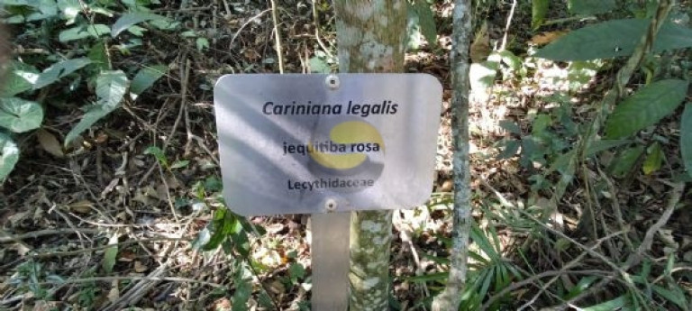 Imagem Terreno à Venda, 1.127 m² em Jardim Colibri - Cotia Imagem Terreno à Venda, 1.127 m² em Jardim Colibri - Cotia