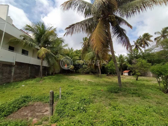 Imagem Terreno à Venda, 6.225 m² em Barra De Tabatinga - Nísia Floresta Imagem Terreno à Venda, 6.225 m² em Barra De Tabatinga - Nísia Floresta