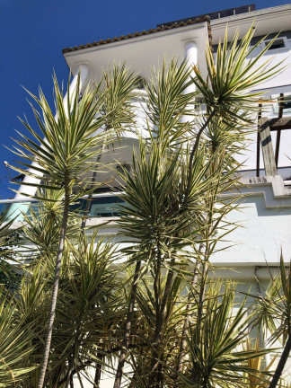 Imagem Apartamento com 2 Quartos à Venda, 70 m² em Pagani - Palhoça