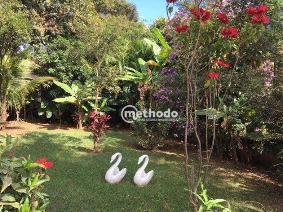 Chácara com 3 Quartos à Venda, 400 m² em Jardim Monte Belo - Campinas