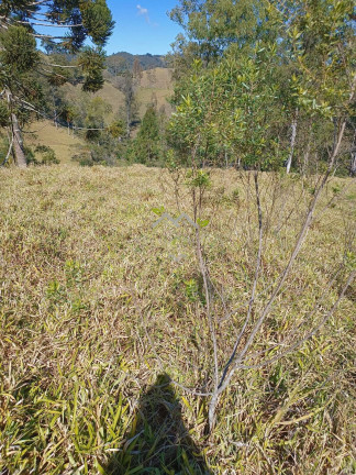 Imagem Terreno à Venda, 30 m² em Bairro Dos Mellos - Campos Do Jordão Imagem Terreno à Venda, 30 m² em Bairro Dos Mellos - Campos Do Jordão