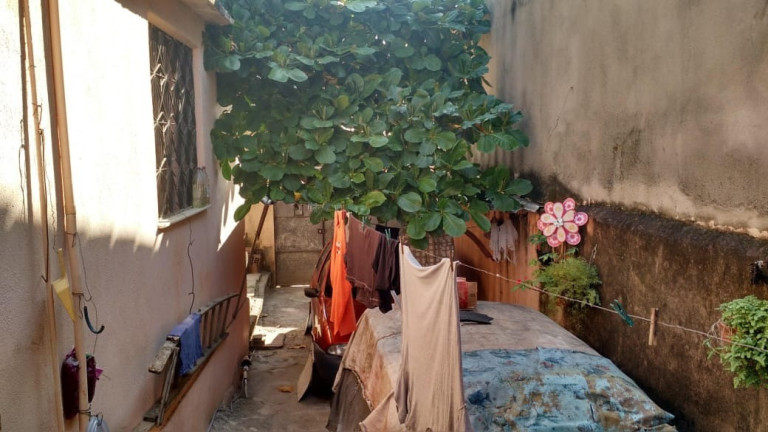 Imagem Casa com 3 Quartos à Venda, em Senador Vasconcelos - Rio De Janeiro Imagem Casa com 3 Quartos à Venda, em Senador Vasconcelos - Rio De Janeiro