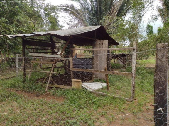 Imagem Chácara à Venda, 5.000 m² em Areia Branca - Porto Velho Imagem Chácara à Venda, 5.000 m² em Areia Branca - Porto Velho