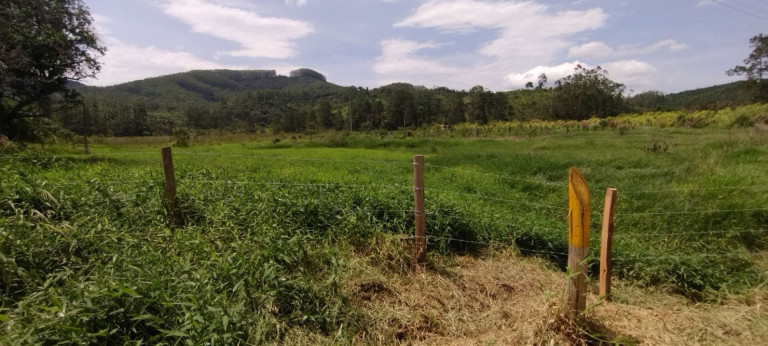Imagem Fazenda à Venda, 150 m² em Parque Das Alamedas - Guaratinguetá