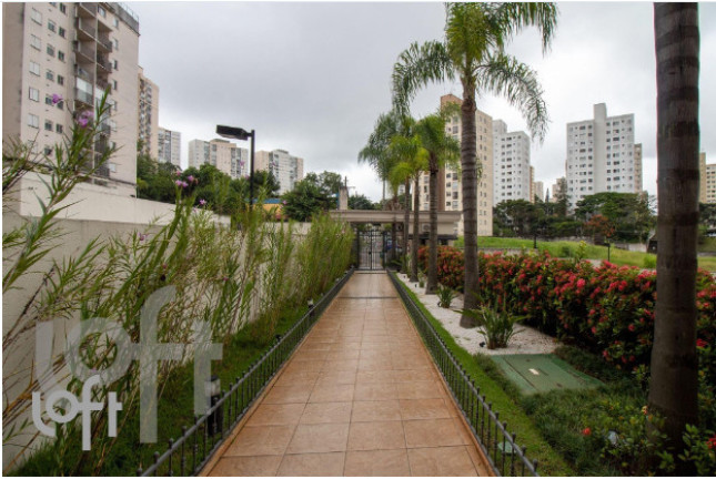 Imagem Apartamento com 3 Quartos à Venda, 67 m² em Jardim Celeste - São Paulo Imagem Apartamento com 3 Quartos à Venda, 67 m² em Jardim Celeste - São Paulo