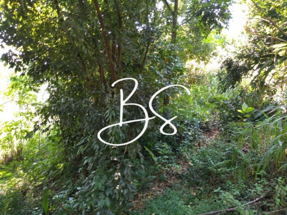 Imagem Terreno à Venda, 1.040 m² em Linha 28 - Três Coroas Imagem Terreno à Venda, 1.040 m² em Linha 28 - Três Coroas