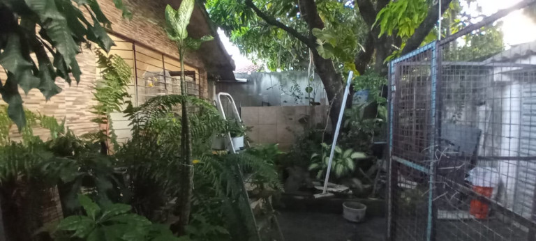 Imagem Casa com 3 Quartos à Venda, 90 m² em Nossa Senhora Da Conceição - Paulista Imagem Casa com 3 Quartos à Venda, 90 m² em Nossa Senhora Da Conceição - Paulista