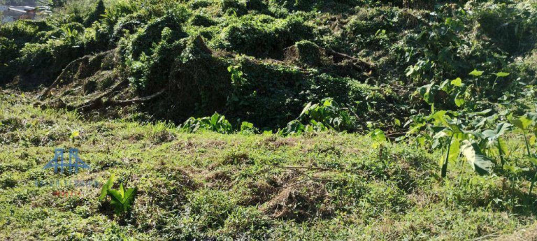 Imagem Terreno à Venda, 22.622 m² em Saco Dos Limões - Florianópolis Imagem Terreno à Venda, 22.622 m² em Saco Dos Limões - Florianópolis