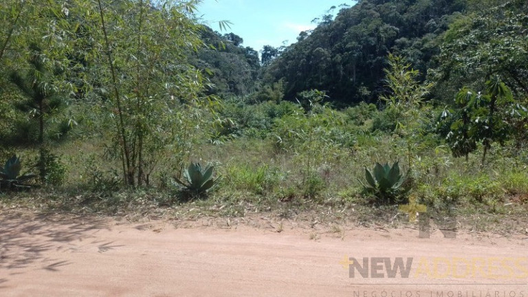 Imagem Imóvel com 1 Quarto à Venda, 20.000 m² em Marechal Floriano - Marechal Floriano
