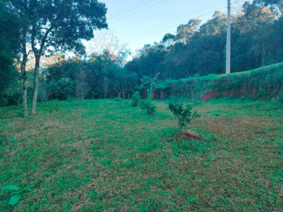Imagem Terreno à Venda, 2.800 m² em Borghetto - Garibaldi Imagem Terreno à Venda, 2.800 m² em Borghetto - Garibaldi