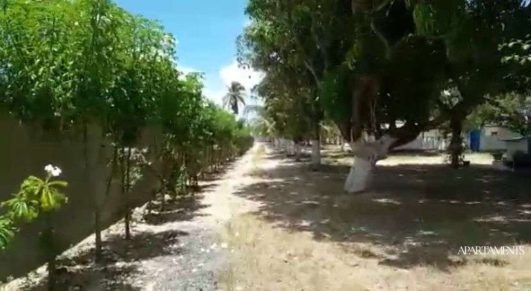 Imagem Casa com 6 Quartos à Venda, 400 m² em Planta De Lucena - Lucena