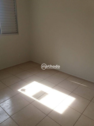 Imagem Apartamento com 3 Quartos à Venda, 66 m² em Jardim Nova Europa - Campinas Imagem Apartamento com 3 Quartos à Venda, 66 m² em Jardim Nova Europa - Campinas