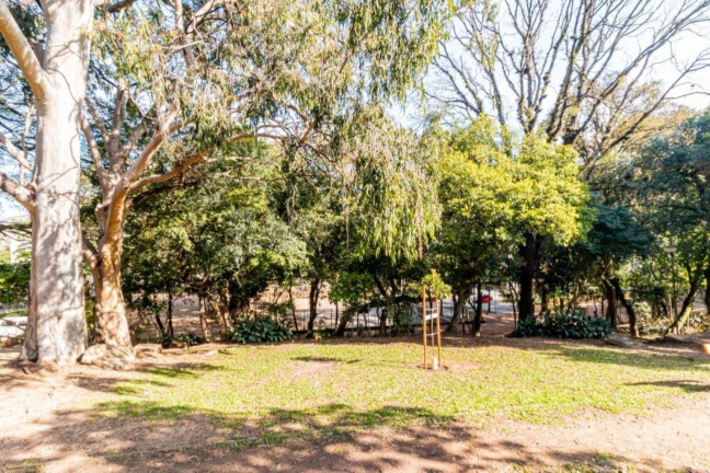 Imagem Imóvel com 4 Quartos à Venda, 74 m² em Petrópolis - Porto Alegre