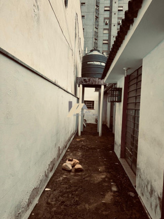 Imagem Imóvel com 5 Quartos à Venda, 264 m² em Cambuí - Campinas