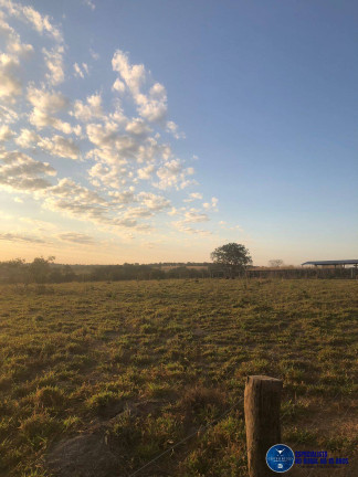Fazenda à Venda, 110 m² em Zona Rural - Aragarças