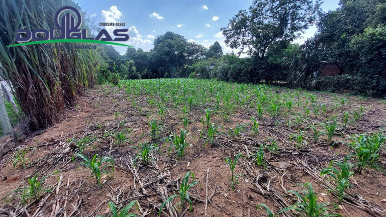 Imagem Terreno à Venda, em águas Claras - Viamão Imagem Terreno à Venda, em águas Claras - Viamão