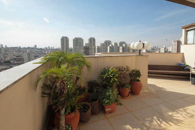 Imagem Apartamento com 3 Quartos à Venda, 470 m² em Jardim Avelino - São Paulo Imagem Apartamento com 3 Quartos à Venda, 470 m² em Jardim Avelino - São Paulo