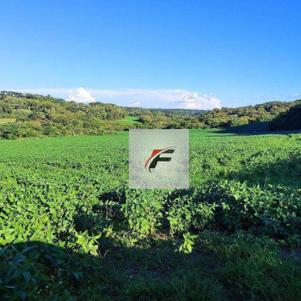 Imagem Imóvel à Venda, 193.600 m² em Centro - Lapa Imagem Imóvel à Venda, 193.600 m² em Centro - Lapa