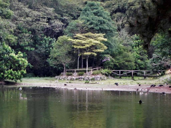 Imagem Terreno à Venda, 2 m² em Granja Viana - Cotia Imagem Terreno à Venda, 2 m² em Granja Viana - Cotia