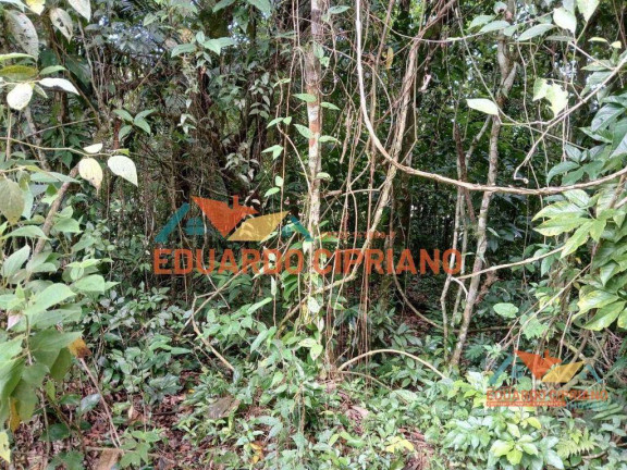 Imagem Terreno à Venda, 270 m² em Massaguaçu - Caraguatatuba Imagem Terreno à Venda, 270 m² em Massaguaçu - Caraguatatuba