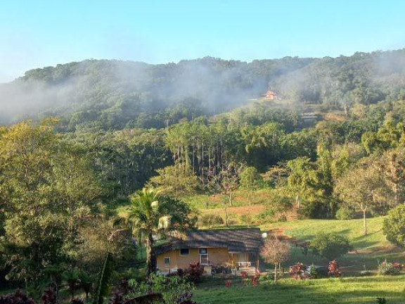 Imagem Imóvel com 4 Quartos à Venda, 68.000 m² em Centro - Morretes 