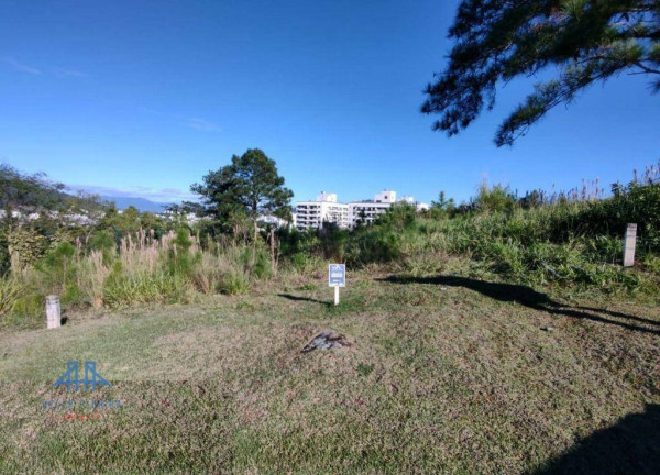 Imagem Terreno à Venda, 450 m² em Itacorubi - Florianópolis Imagem Terreno à Venda, 450 m² em Itacorubi - Florianópolis