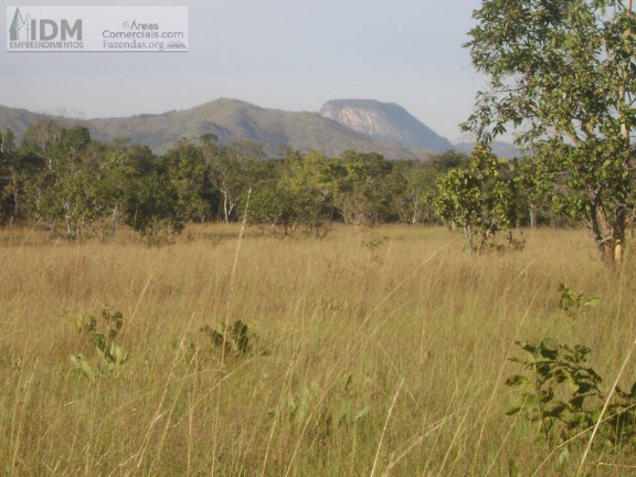 Imagem Chácara à Venda, 45.000.000 m² em Setor Central - Taipas Do Tocantins