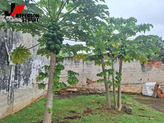 Imagem Chácara com 3 Quartos à Venda, 2.114 m² em Parque Das Garças - Guaratinguetá Imagem Chácara com 3 Quartos à Venda, 2.114 m² em Parque Das Garças - Guaratinguetá