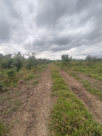 Imagem Terreno à Venda, 242.000 m² em área Rural De Limeira - Limeira Imagem Terreno à Venda, 242.000 m² em área Rural De Limeira - Limeira
