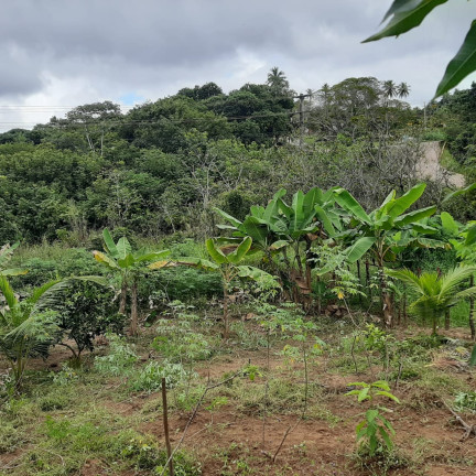 Imagem Imóvel com 1 Quarto à Venda, 2.000 m² em Diogo - Mata De São João Imagem Imóvel com 1 Quarto à Venda, 2.000 m² em Diogo - Mata De São João