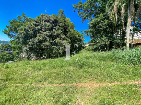 Imagem Terreno à Venda, 700 m² em Córrego Grande - Florianópolis Imagem Terreno à Venda, 700 m² em Córrego Grande - Florianópolis