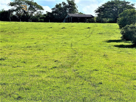 Imagem Chácara à Venda, 140.000 m² em Morungava - Gravataí Imagem Chácara à Venda, 140.000 m² em Morungava - Gravataí