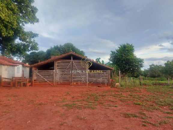 Imagem Imóvel com 3 Quartos à Venda, 45.500 m² em Zona Rural - Minaçu Imagem Imóvel com 3 Quartos à Venda, 45.500 m² em Zona Rural - Minaçu